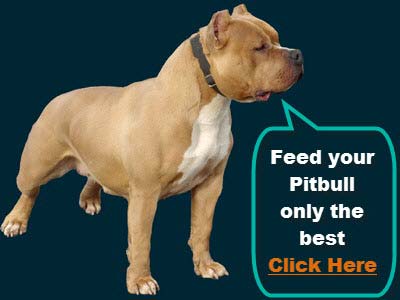 best vitamins for pitbull puppies