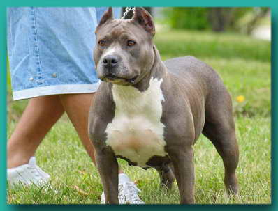 cairo razors edge daughter cairo razors edge daughter